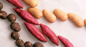 Что дало нам открытие Колумба? Что дало нам открытие Колумба?