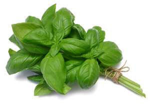 Магия свежих трав