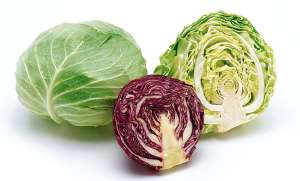 Присмотримся к капусте