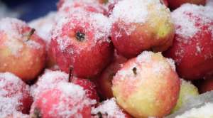 10 продуктов для улучшения работы мозга, без которых не обойтись зимой 10 продуктов для улучшения работы мозга, без которых не обойтись зимой