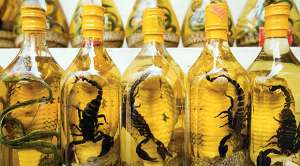 Опять в Сайгоне льется кровь Опять в Сайгоне льется кровь