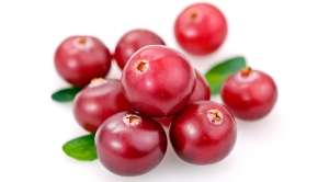 Травы от простуды Травы от простуды